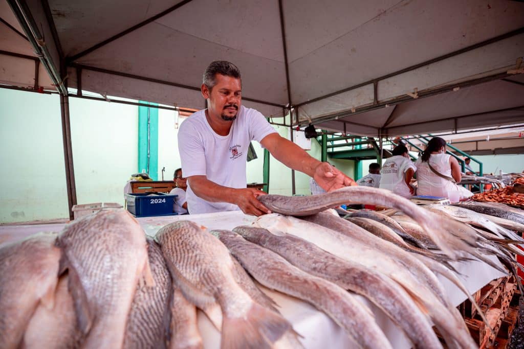 Confira O Funcionamento Da Tradicional Feira Do Peixe De Cama Ari