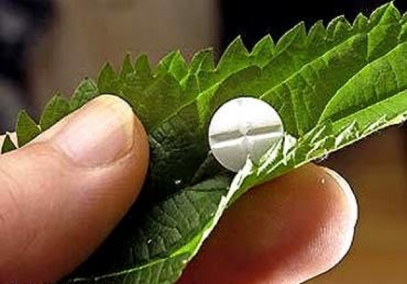 Anvisa proíbe nove medicamentos fitoterápicos