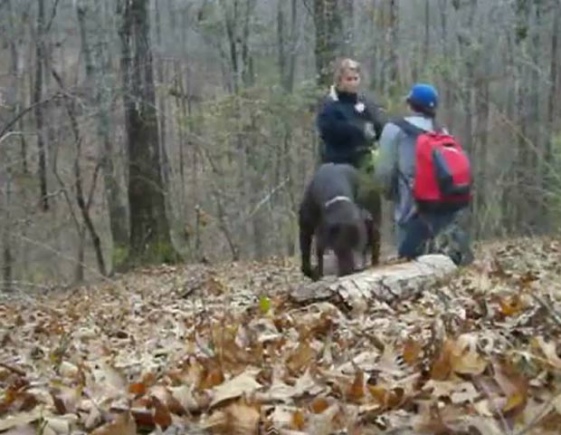 Cão derruba câmera e estraga pedido de casamento em floresta