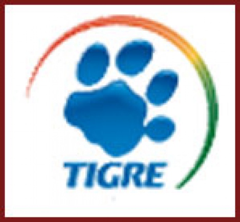 Tigre oferece curso gratuito para síndicos