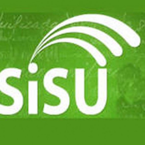 Sisu