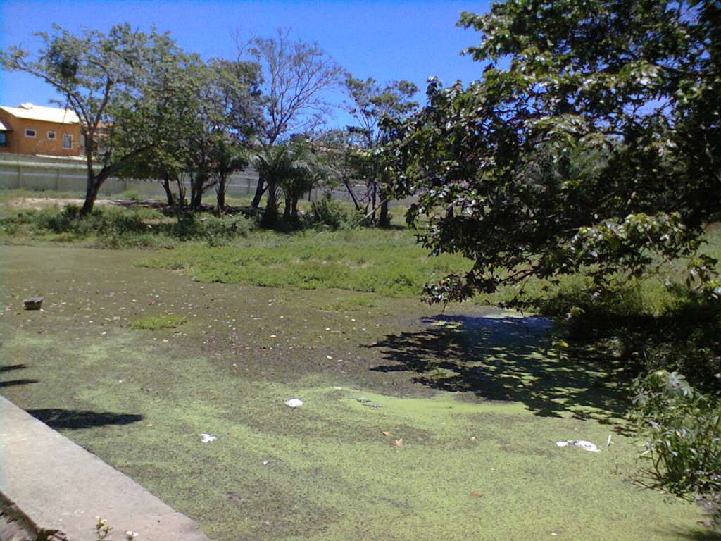 Esgoto e lixo fazem parte dos rios de Lauro de Freitas