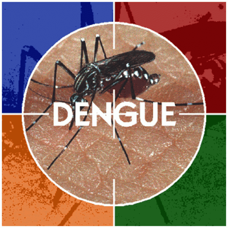 104 cidades têm alto risco de transmissão de dengue