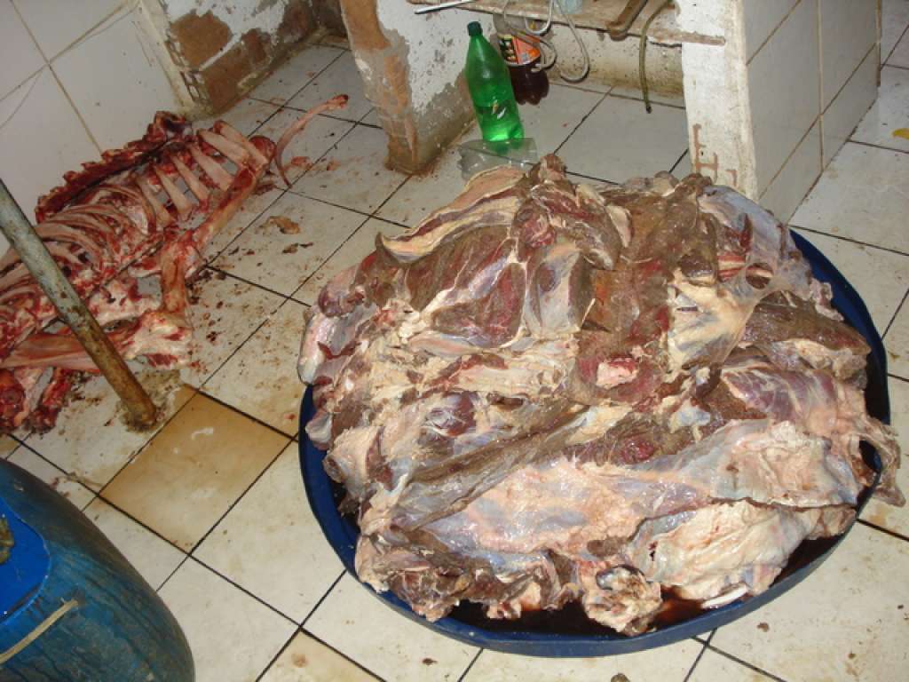 Cerca de 33% da carne consumida por brasileiros não passa por inspeção
