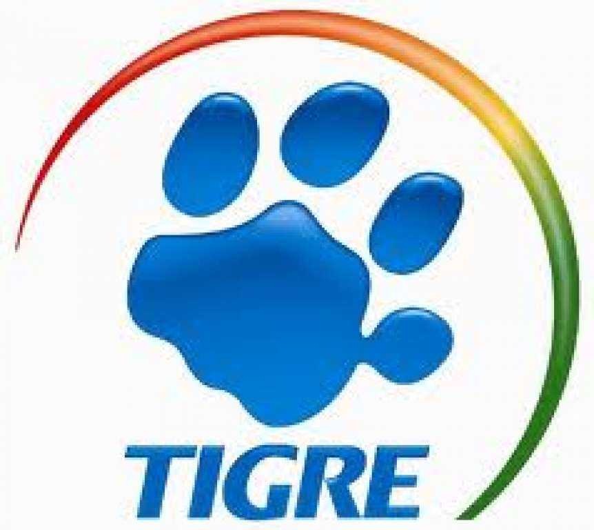 Empresa Tigre abre inscrições para Treinee