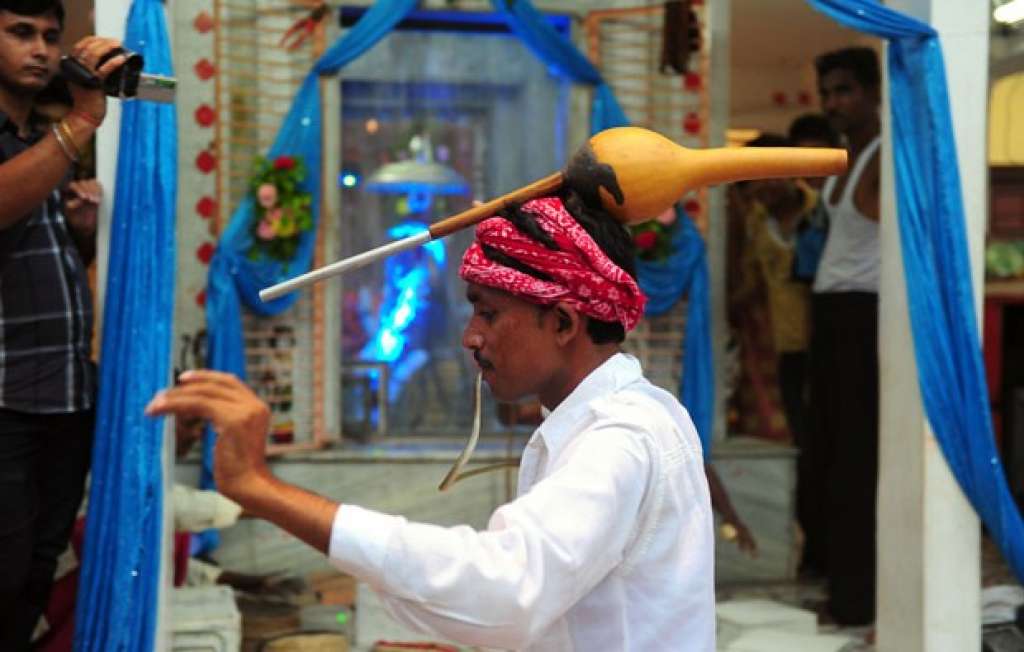 Encantador coloca cabeça de serpente na boca na Índia