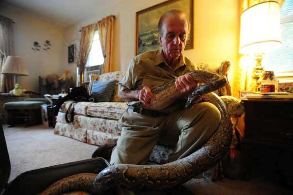 Professor adota cobra encontrada em tubulação de esgoto nos EUA