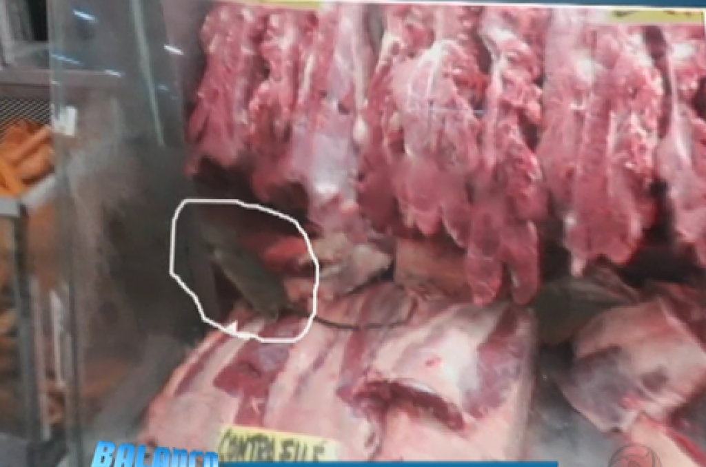 Cliente flagra rato andando em carne de açougue
