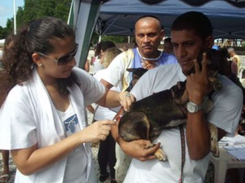 Mutirão vai vacinar gratuitamente 250 cães com agendamento por telefone