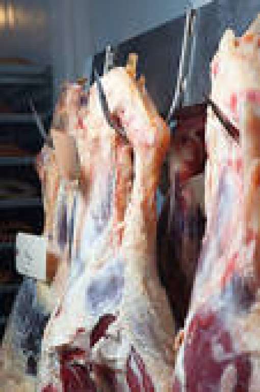 Feira de Santana: MP apreende mais de três toneladas de carne clandestina