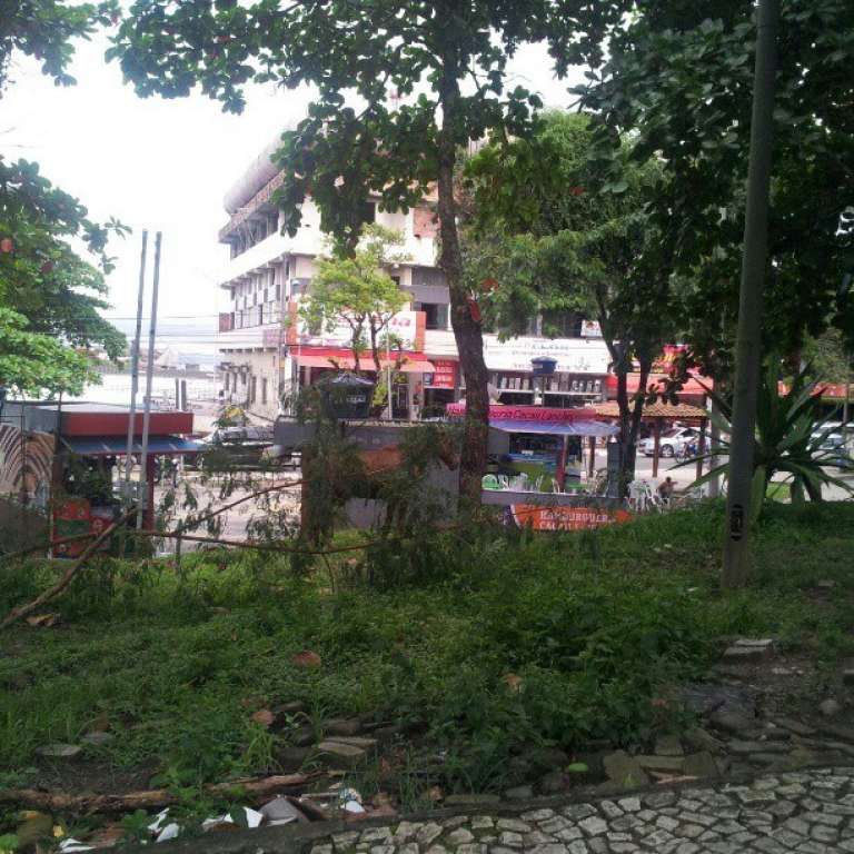 DESCASO: Animais pastam na Praça Abrantes no Centro de Camaçari