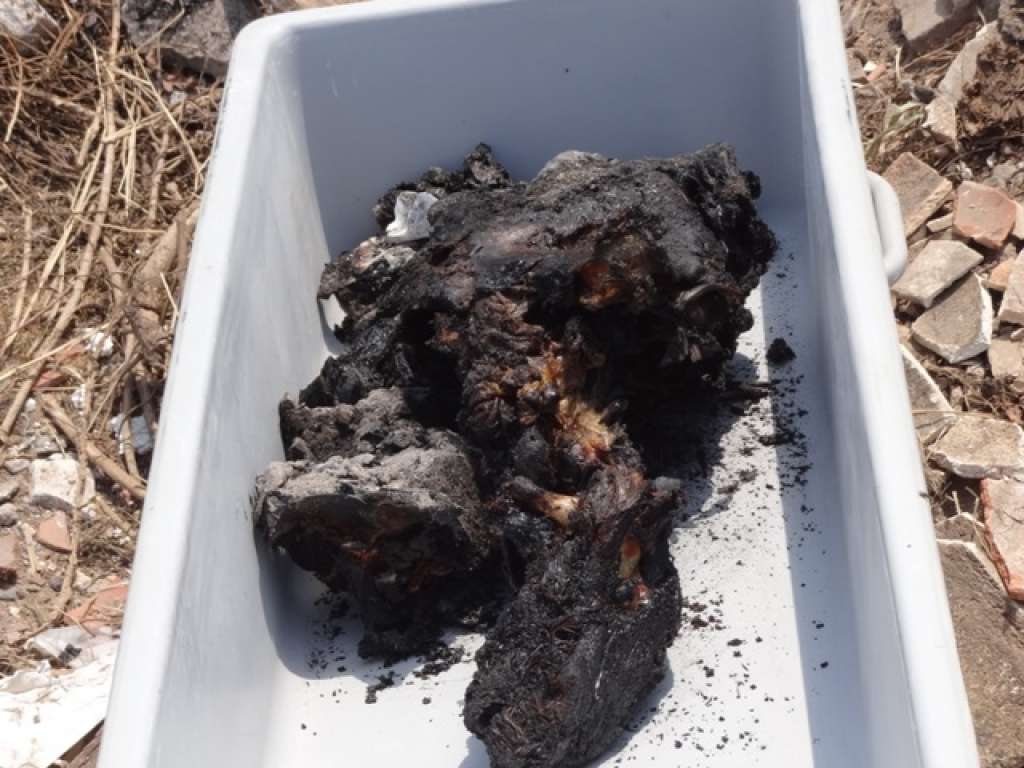 Corpo é encontrado carbonizado e pode ter sido queimado vivo