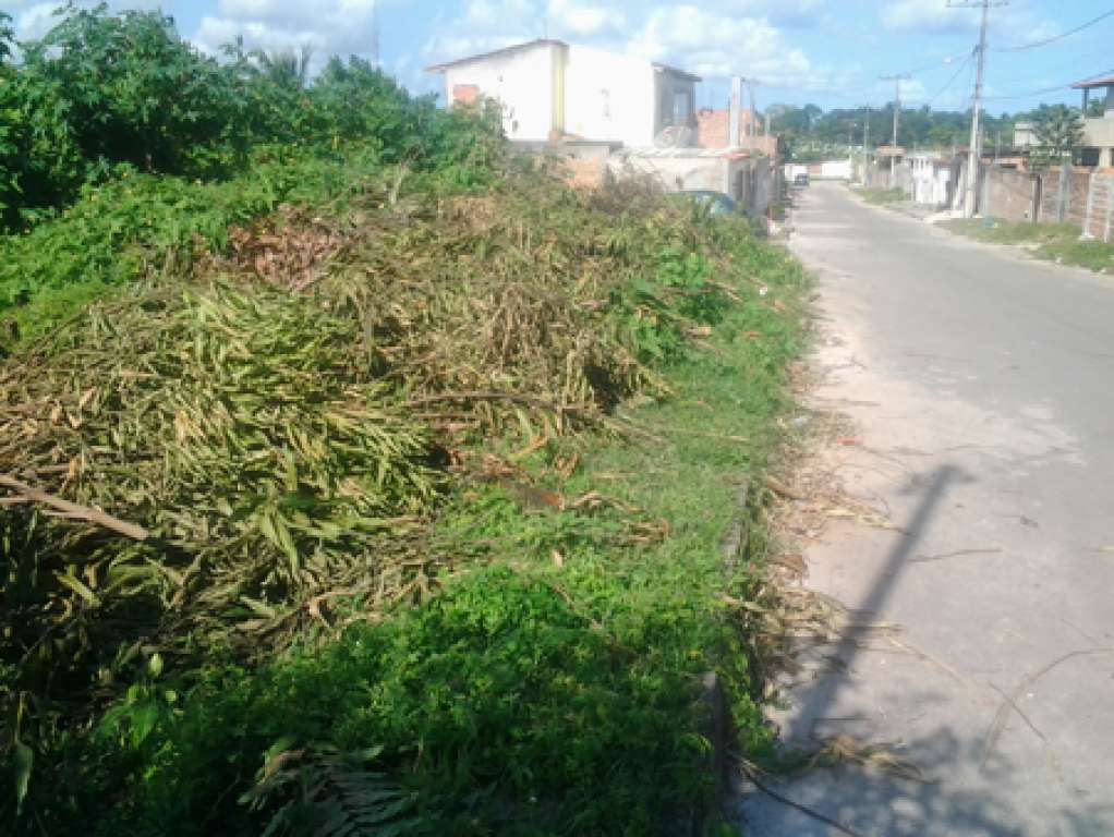 Camaçari: Terreno abandonado é refúgio de usuários de drogas e animais peçonhentos
