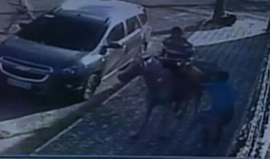 Usando cavalos homens assaltam turistas na Pituba