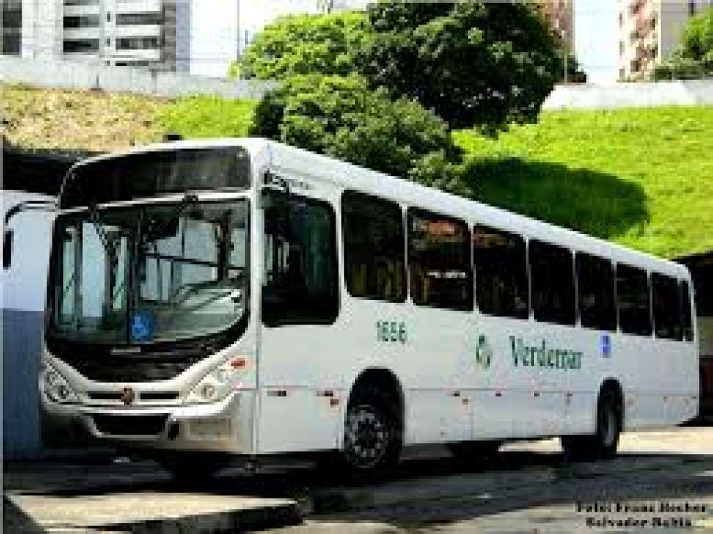 Ônibus circulam normalmente em Salvador, diz Sindicato