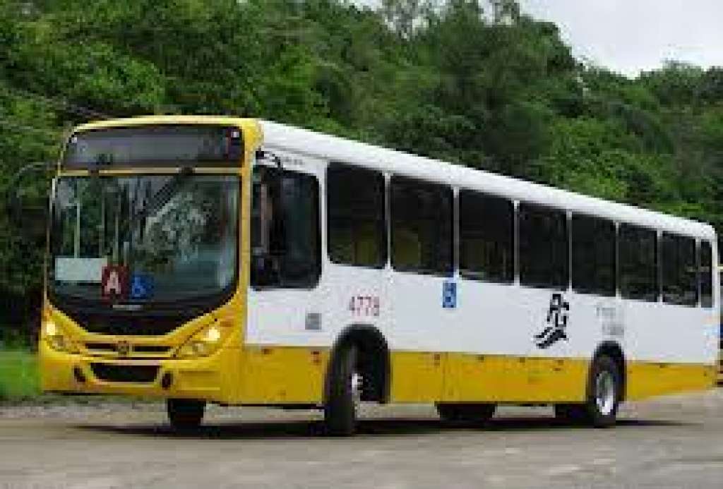 Após pichações, ônibus voltam a circular na Capelinha