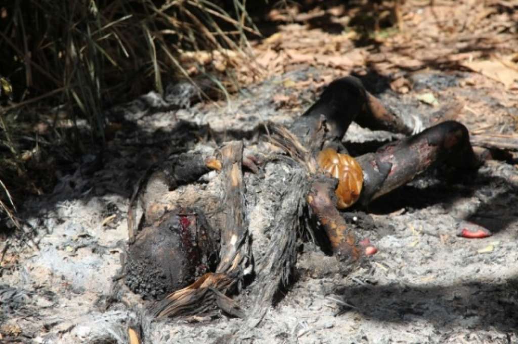 Adolescente de 15 anos é assassinado e queimado em matagal; imagens fortes