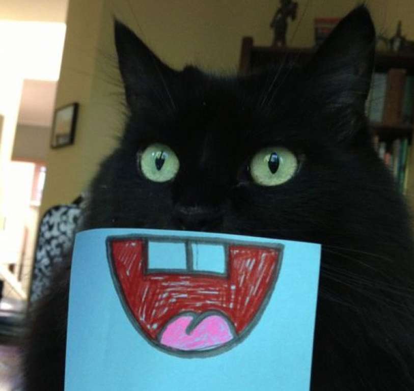 Gatos ganham ‘máscaras de caretas’ e brincadeira vira sensação na web