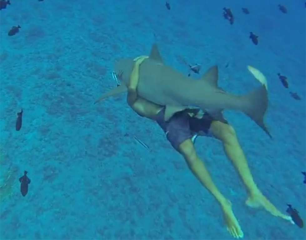 Americano destemido nada abraçado a tubarão de 2,4 m em Bora Bora