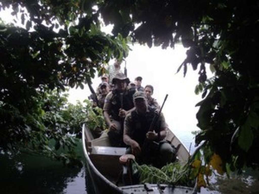Polícia Militar destrói 65 mil pés de maconha