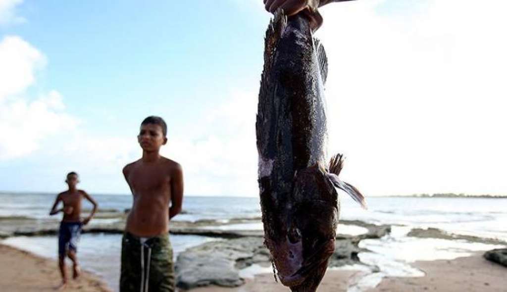 Morte de peixes é mistério na Ilha de Itaparica