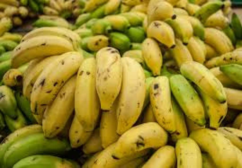 Comer bananas diminui as cãibras? Saiba sobre este conhecimento popular