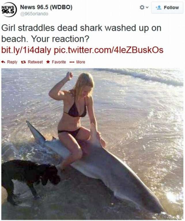 Jovem posa com tubarão morto e provoca alerta de autoridades