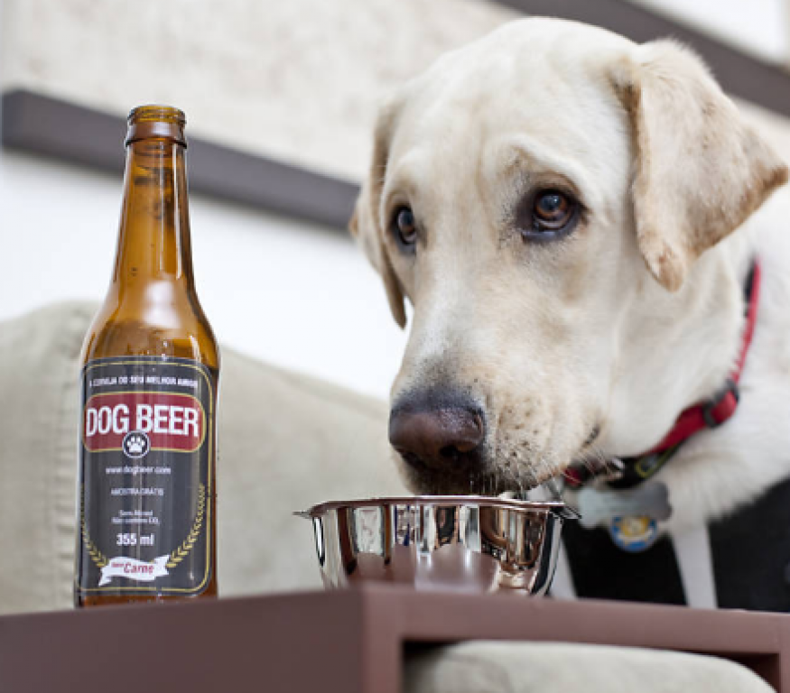 Empresário lança cerveja para cães