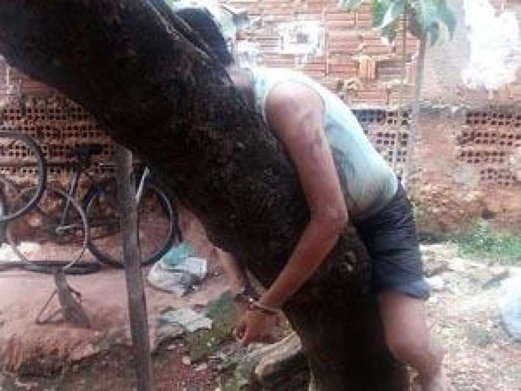 Policial algema filho viciado em árvore para impedir que ele seja morto por traficantes