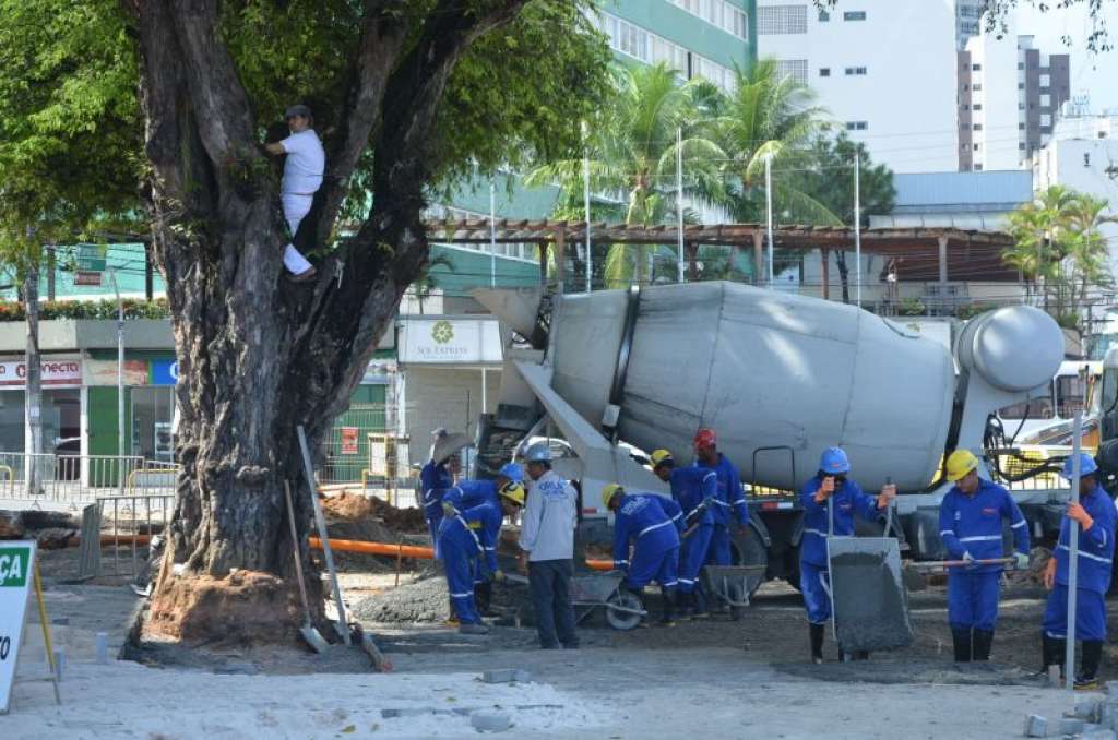 Prefeitura de Salvador nega derrubada de árvore na Barra