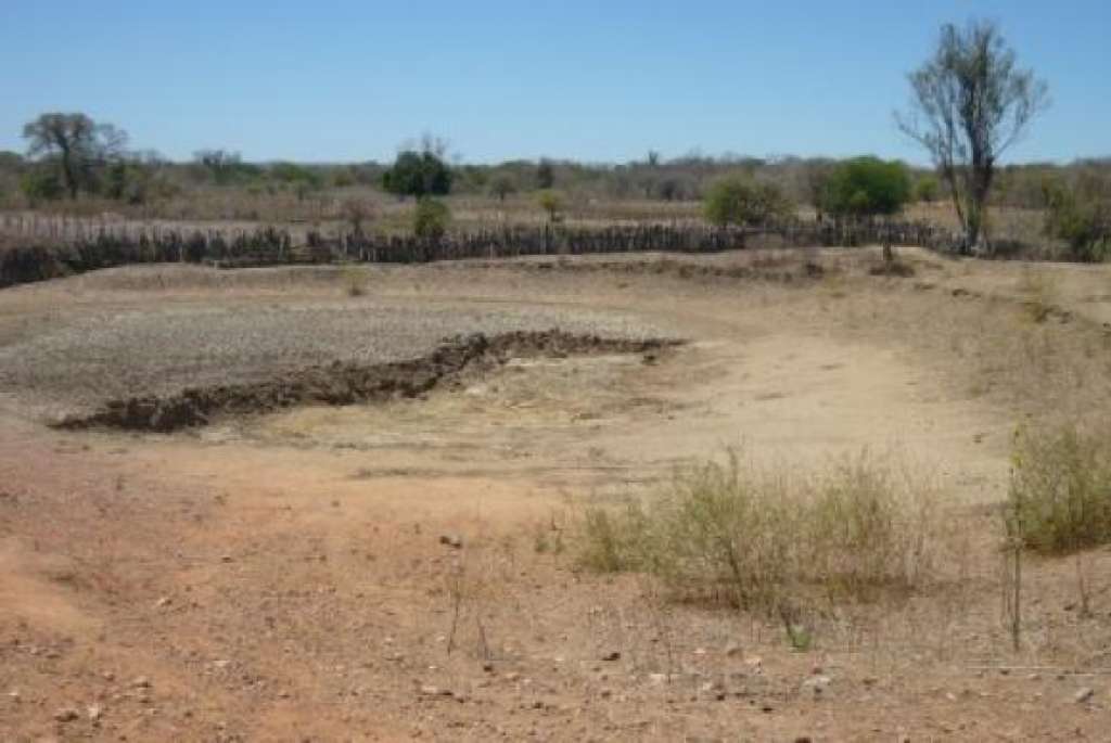 Estado tem pelo menos 140 cidades em situação de emergência por causa da seca