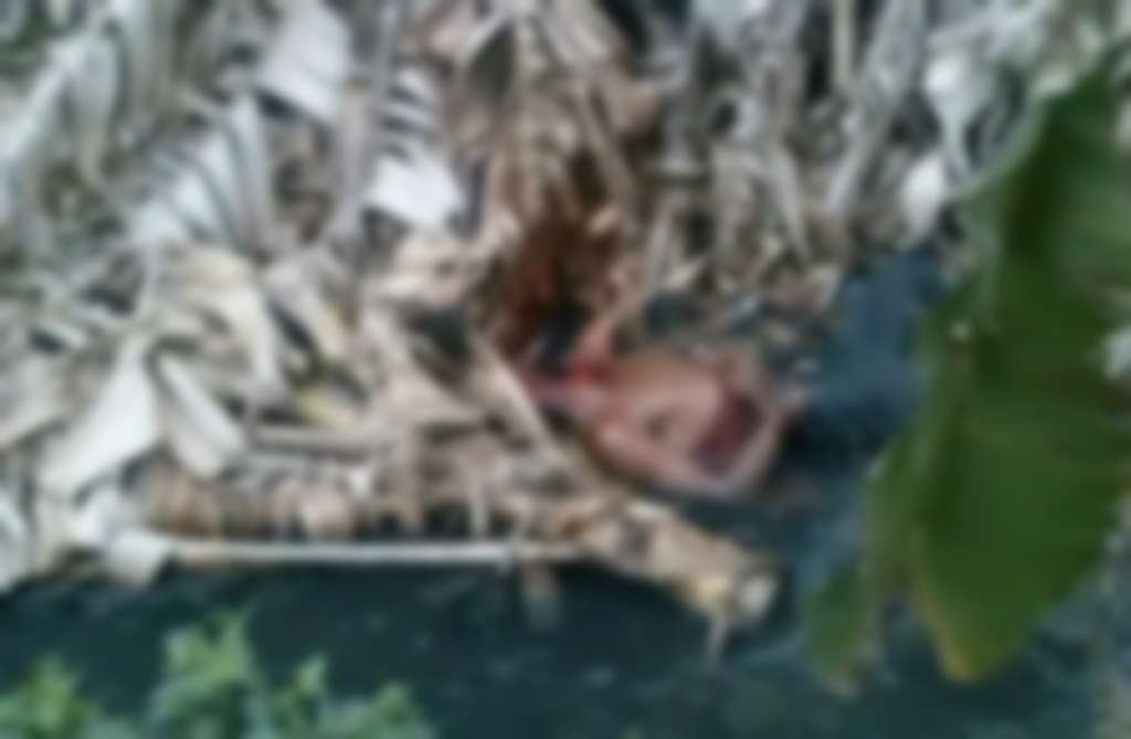 Salvador: homem é encontrado morto e com sinais de tortura em lago