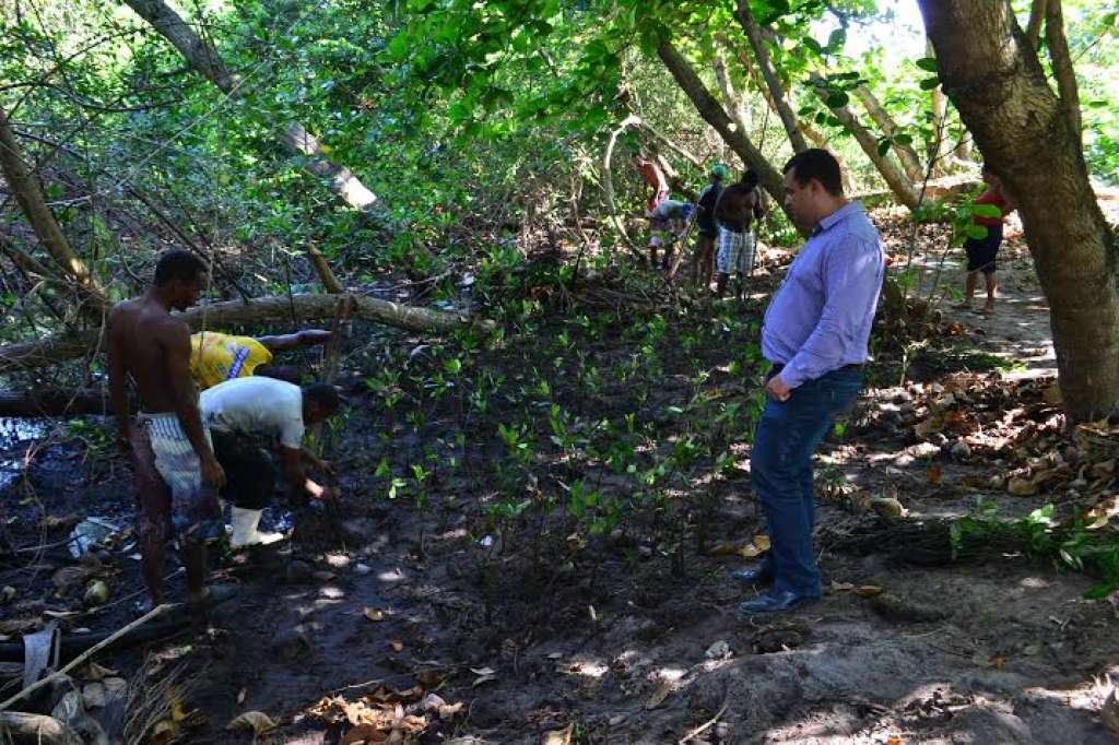 Prefeitura recompõe manguezal de Buraquinho e garante reprodução marinha na região