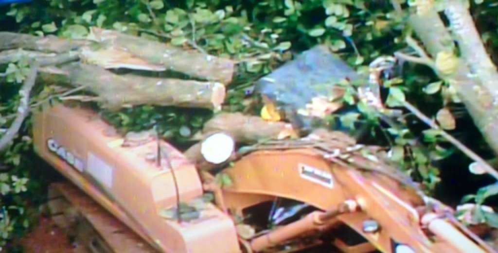 Salvador: árvore cai e mata operário que trabalhava em obra