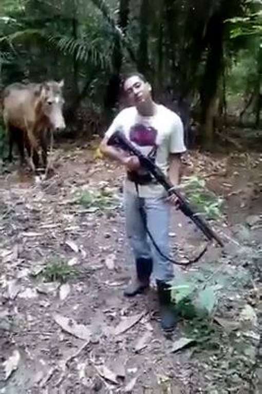 Homem mata cavalo com tiro de espingarda