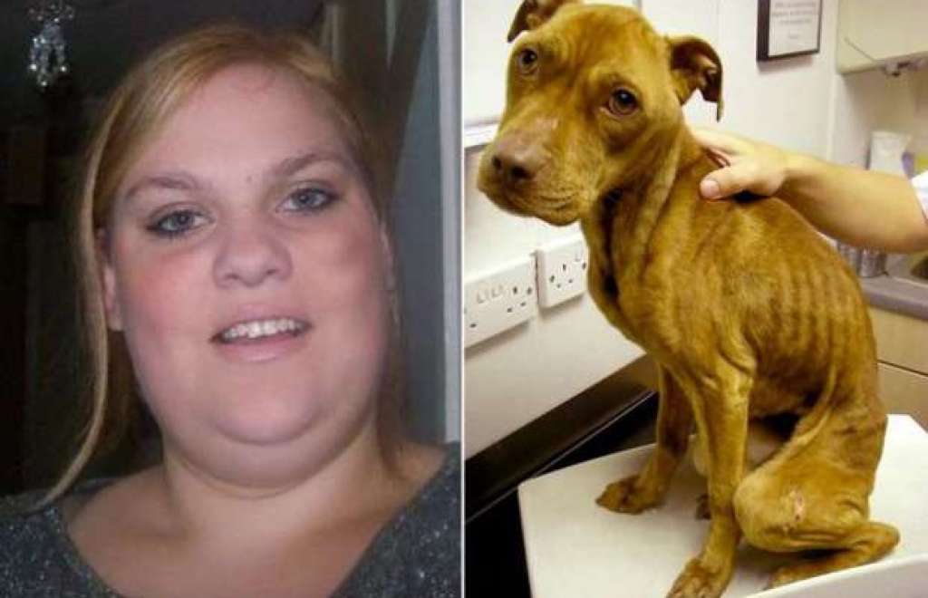 Britânica é presa por deixar cachorro desnutrido à beira da morte