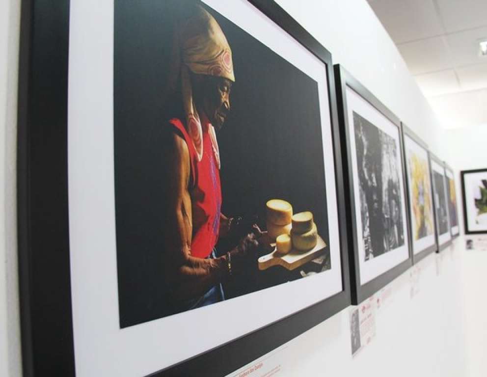 Clube de Arte Fotográfica de Camaçari realiza exposição no Foyer do TCS