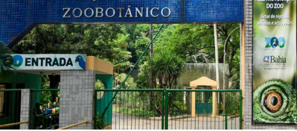 Zoológico de Salvador estará fechado até quarta (29), para manutenção