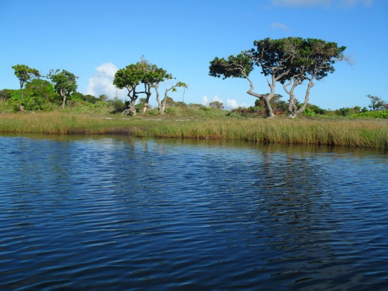 Corpo é encontrado às margens do Rio Capivara em Camaçari
