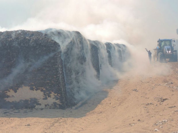 Incêndio em fazenda de algodão provoca uma perda aproximada de R$ 500 mil, diz dono