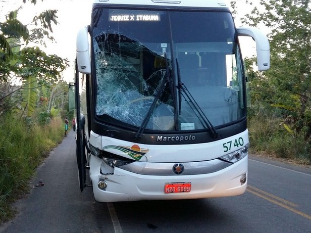 Ônibus atropela homem montado em jumento na BR-330; vítima não resistiu