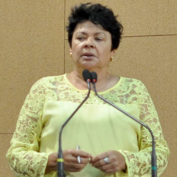 A deputada estadual, Luiza Maia.