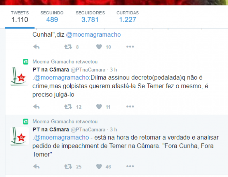 Publicação no Twitter da deputada.