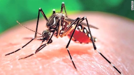 Gestantes começam a receber repelentes contra mosquitos a partir desta quarta-feira