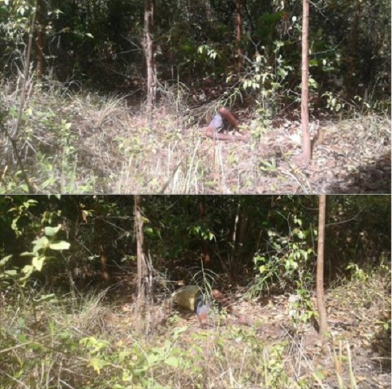 Camaçari: Corpo é encontrado no Parque Verde II