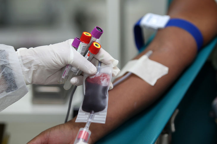 Relator diz que impedir homossexual de doar sangue é discriminação