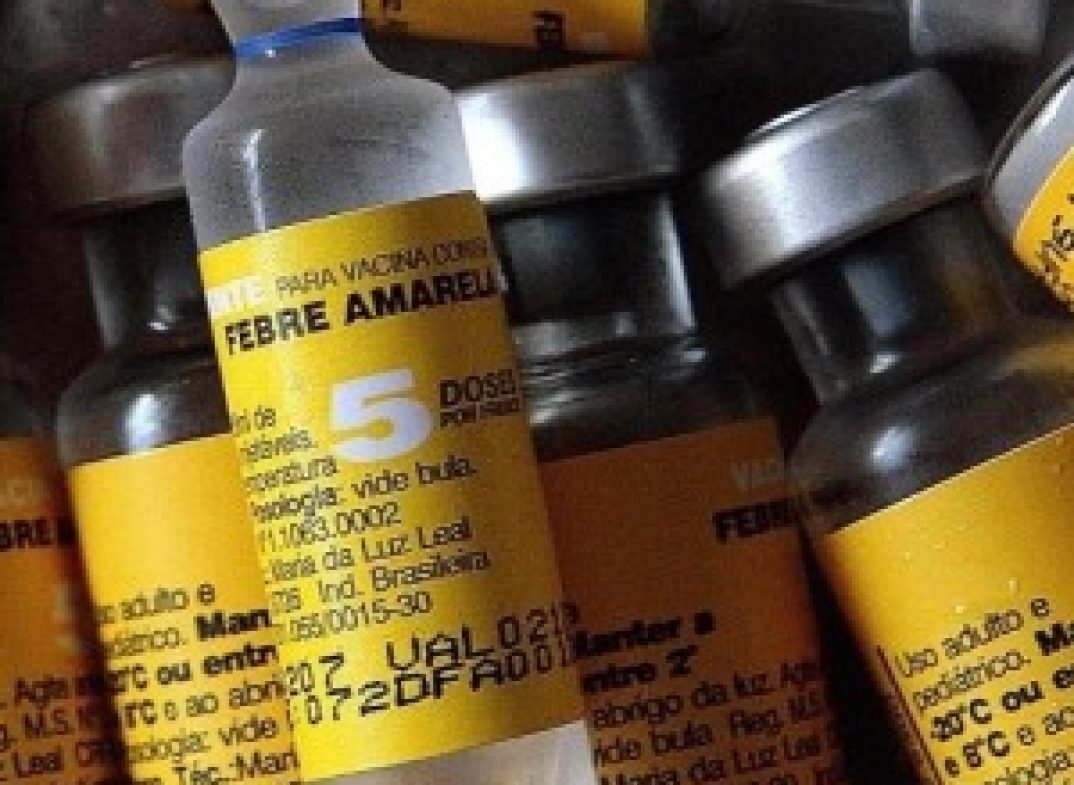 Febre amarela já provocou a morte de 70 pessoas em três estados
