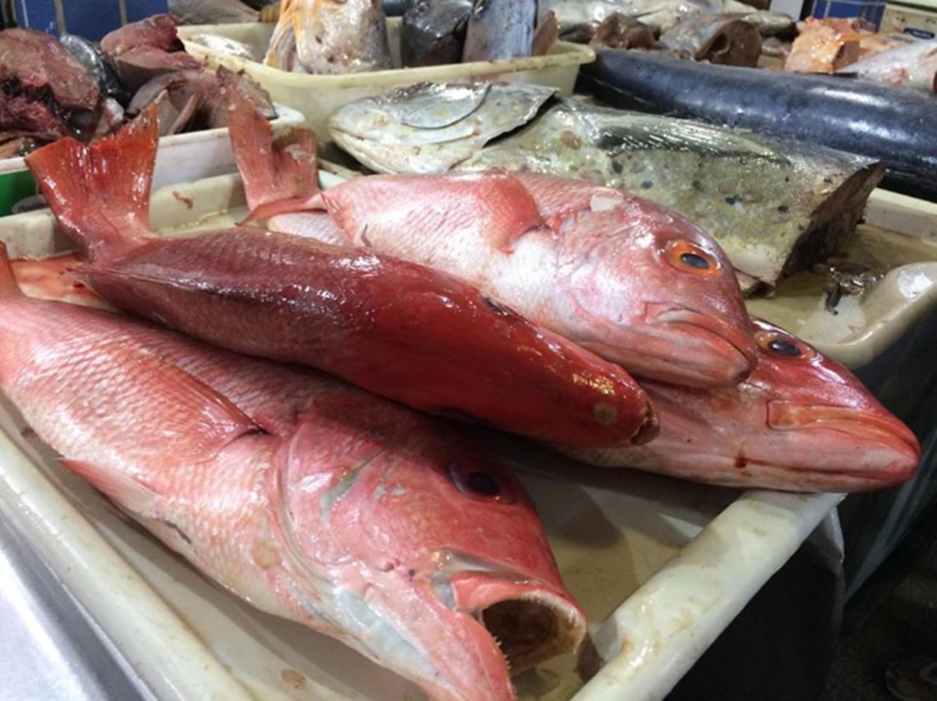 Tradicional Feira Do Peixe Acontece At Sexta Feira Em Cama Ari Bahia No Ar