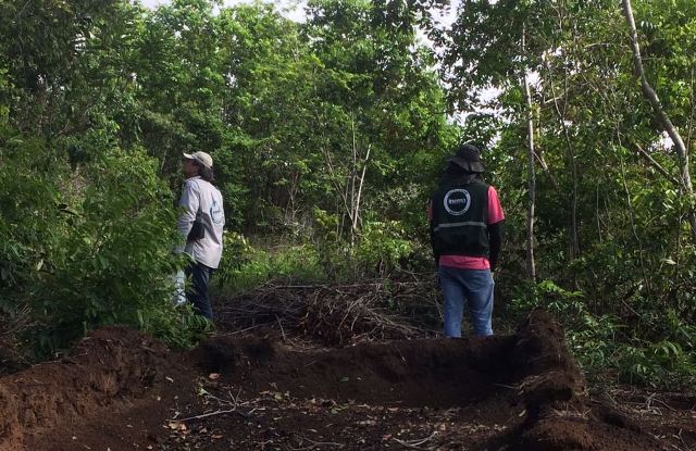 Camaçari: Inema e IBAMA realizam operação de combate ao desmatamento ilegal na Cascalheira