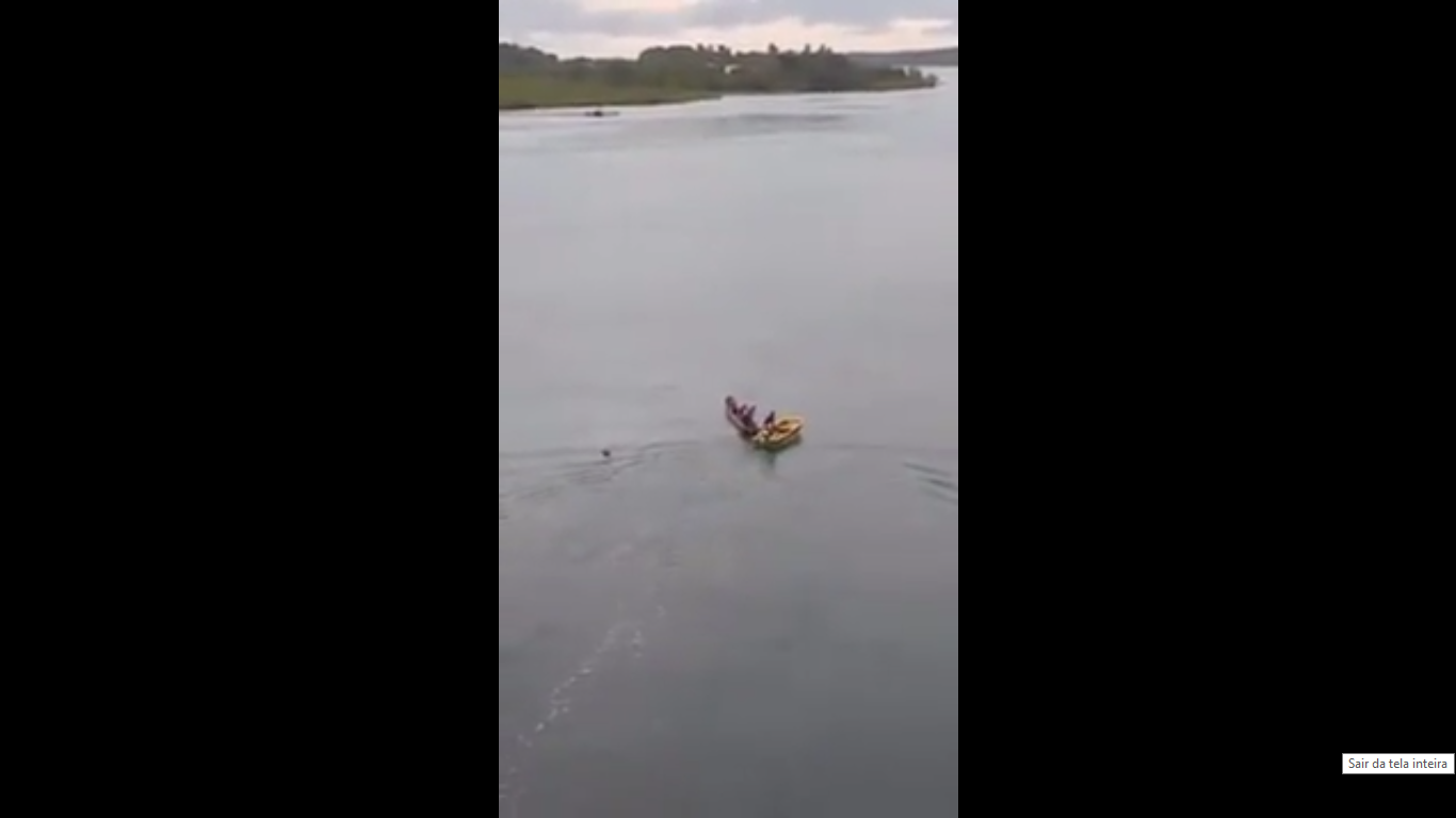 Vídeo: veja momento do resgate a mulher que caiu após acidente na Ponte do Funil